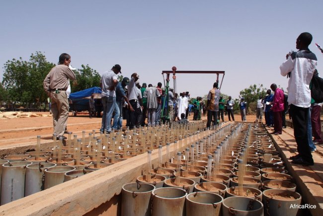 Africa development- Challenges and opportunities