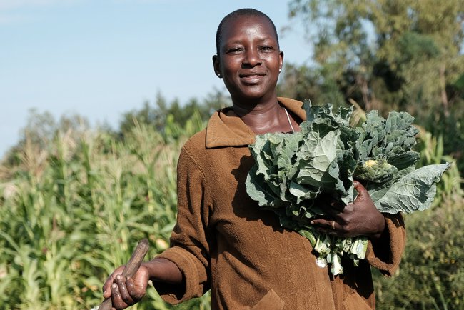 Food Security in Africa