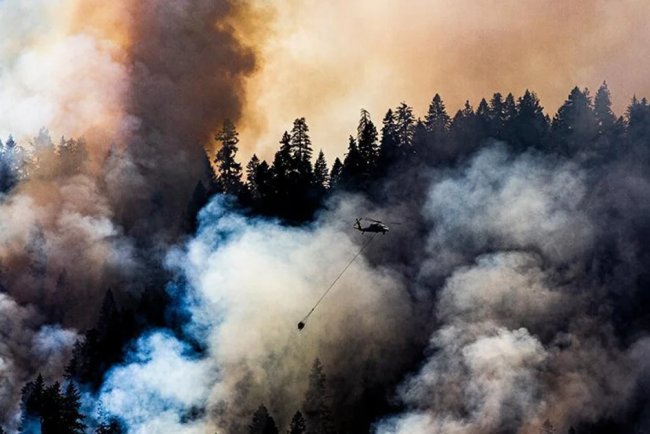 World Fires- Effects of wildfires in the environment.