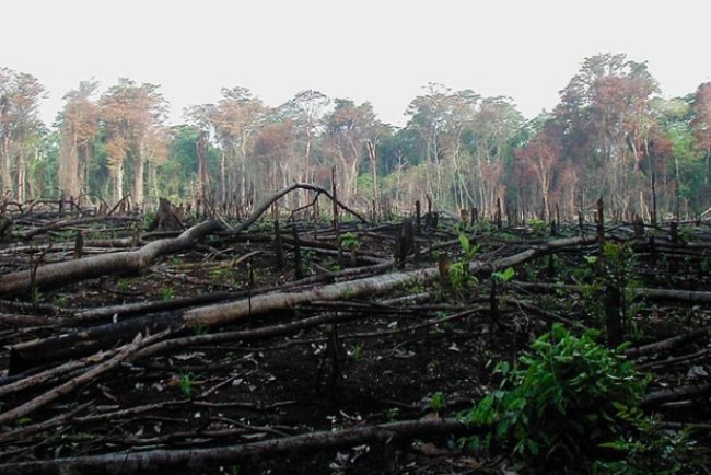 The Impact of Climate Change on Coastal Communities