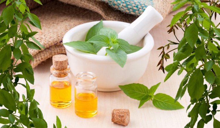 Traditional Medicine