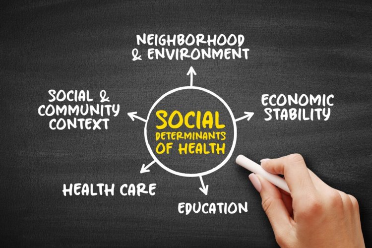 Health clinical settings and beyond - social, economic, and environmental factors  included